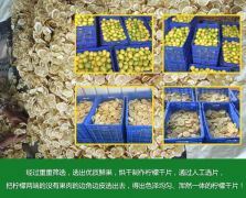 檸檬干片