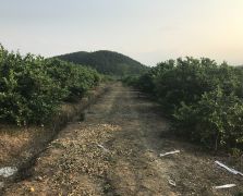 2018陽春志檸農業基地