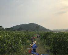 2018陽春志檸農業基地