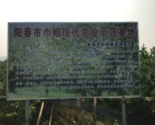2018陽春志檸農業基地