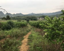 種植環境