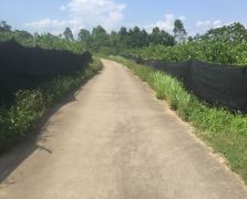 種植場地